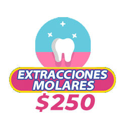 icono para extracciones molares baratas